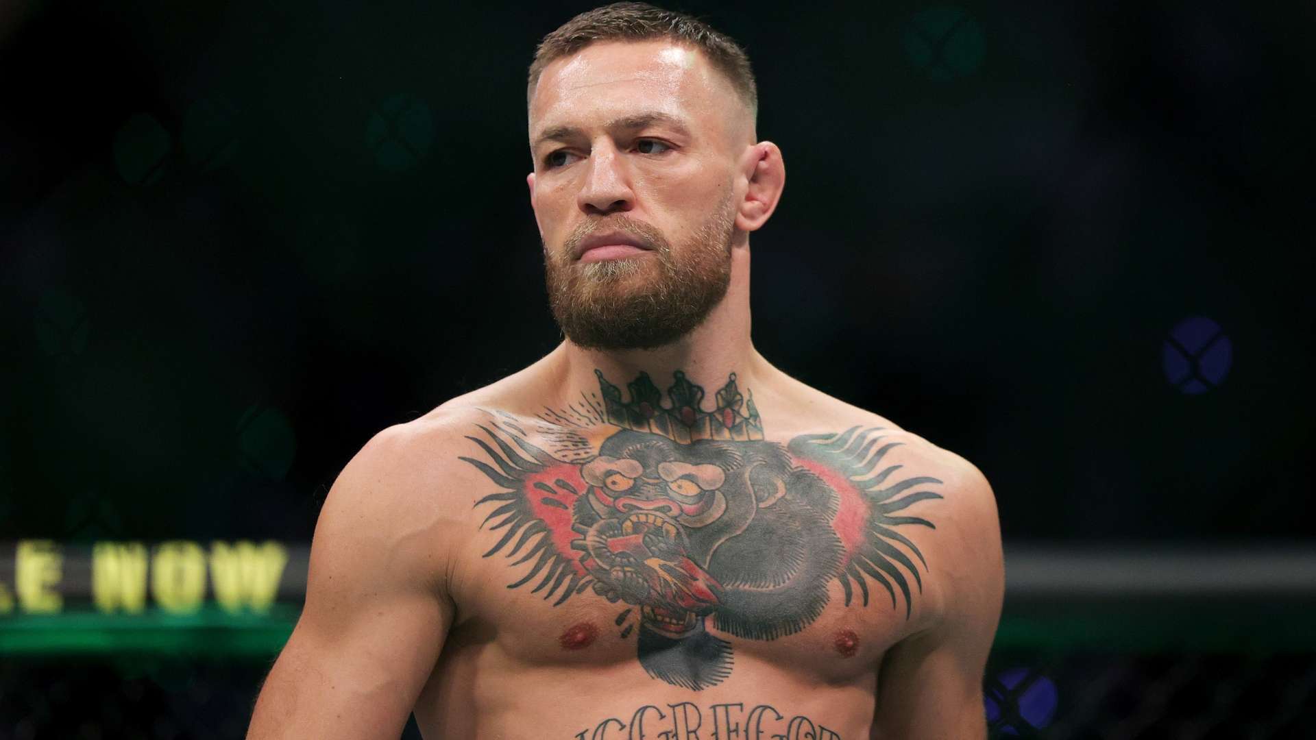 可以发现更 可以发现更